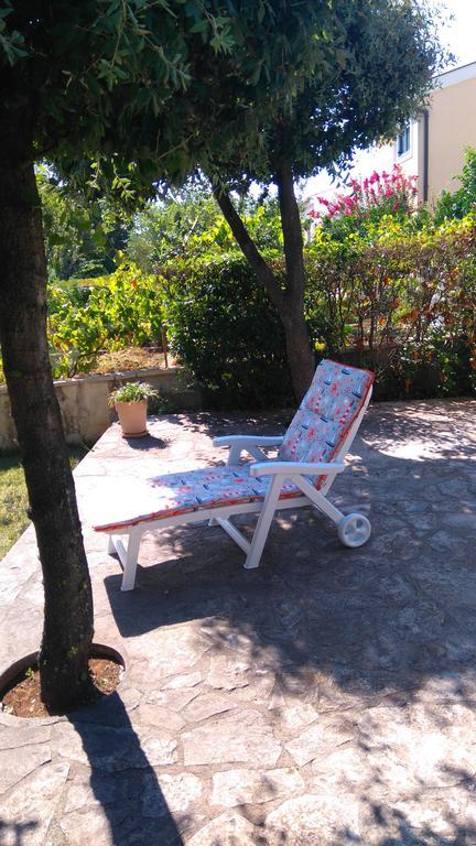 Apartment Basic Petrcane Buitenkant foto