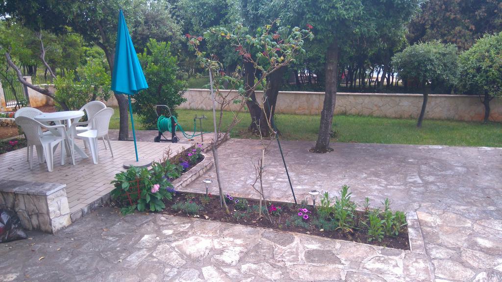 Apartment Basic Petrcane Buitenkant foto