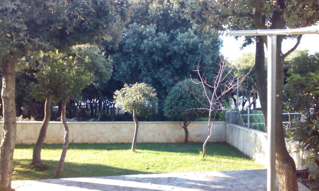 Apartment Basic Petrcane Buitenkant foto